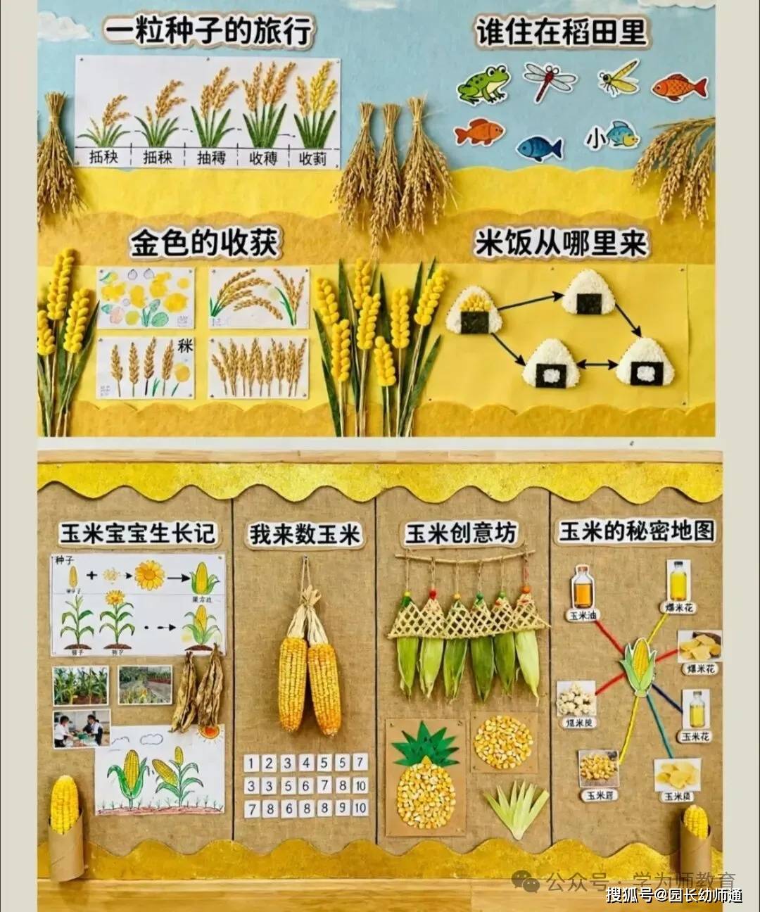 超讚的幼兒園秋天主題環創作品集，看過的幼師都收藏了！