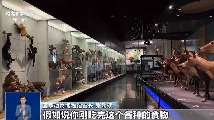 博物館珍貴蛇標本被破壞，館方：保留依法追究法律責任權利