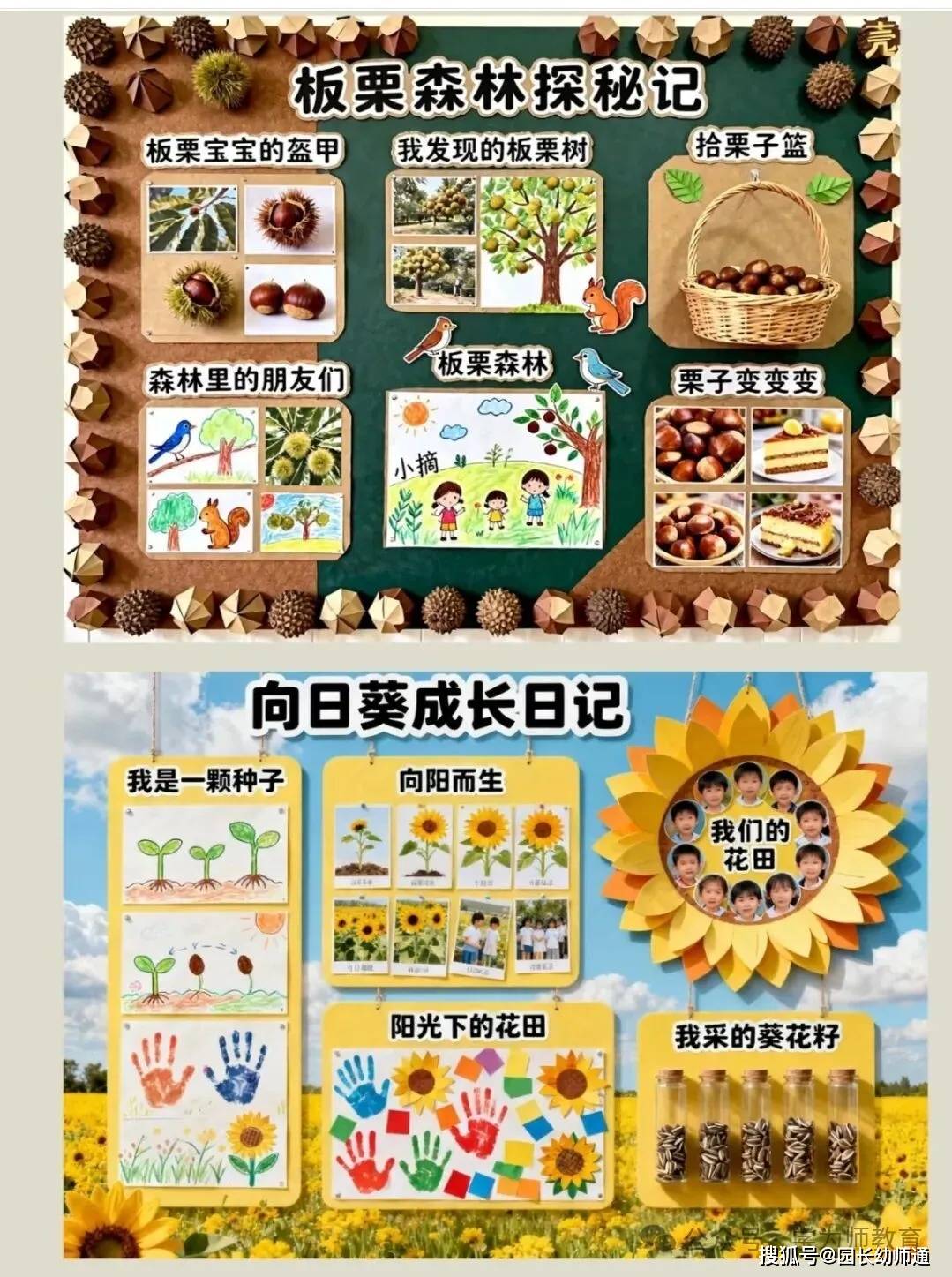超讚的幼兒園秋天主題環創作品集，看過的幼師都收藏了！