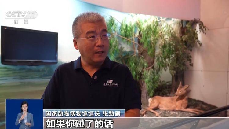 博物館珍貴蛇標本被破壞，館方：保留依法追究法律責任權利