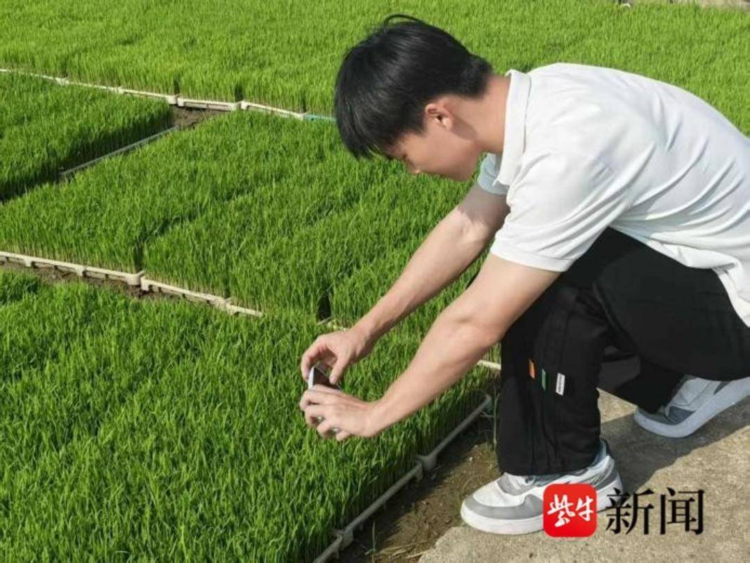 圖｜大學學子探索智慧施肥新路徑