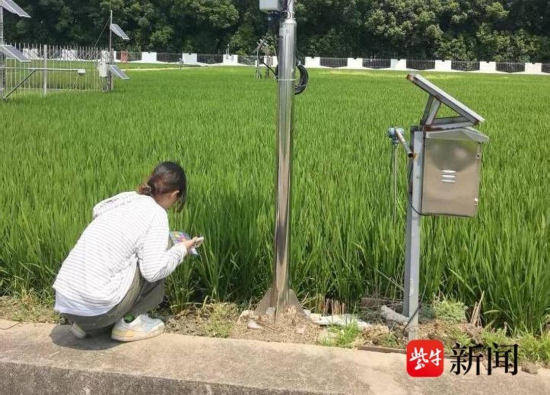 圖｜大學學子探索智慧施肥新路徑
