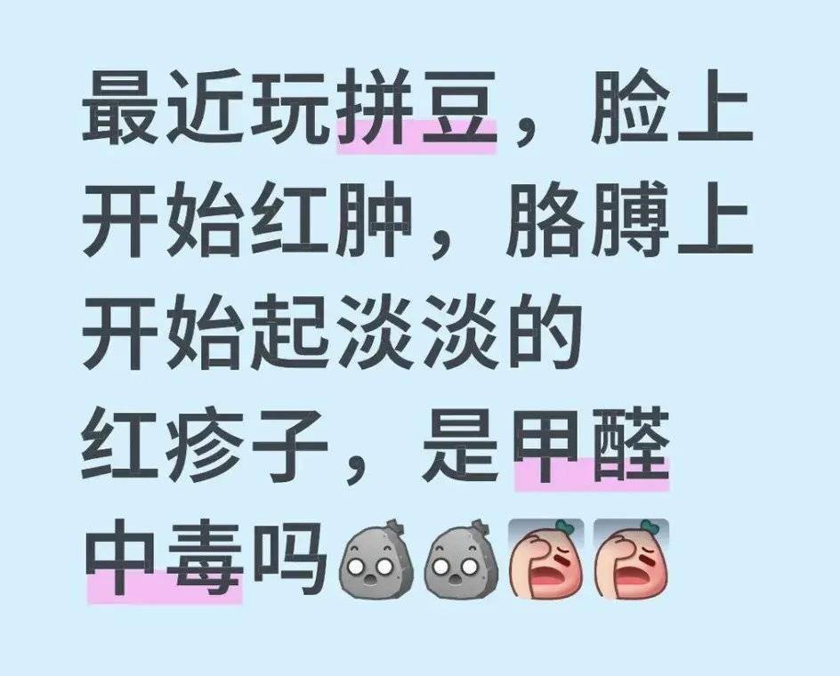拼豆正式進入大考研時代