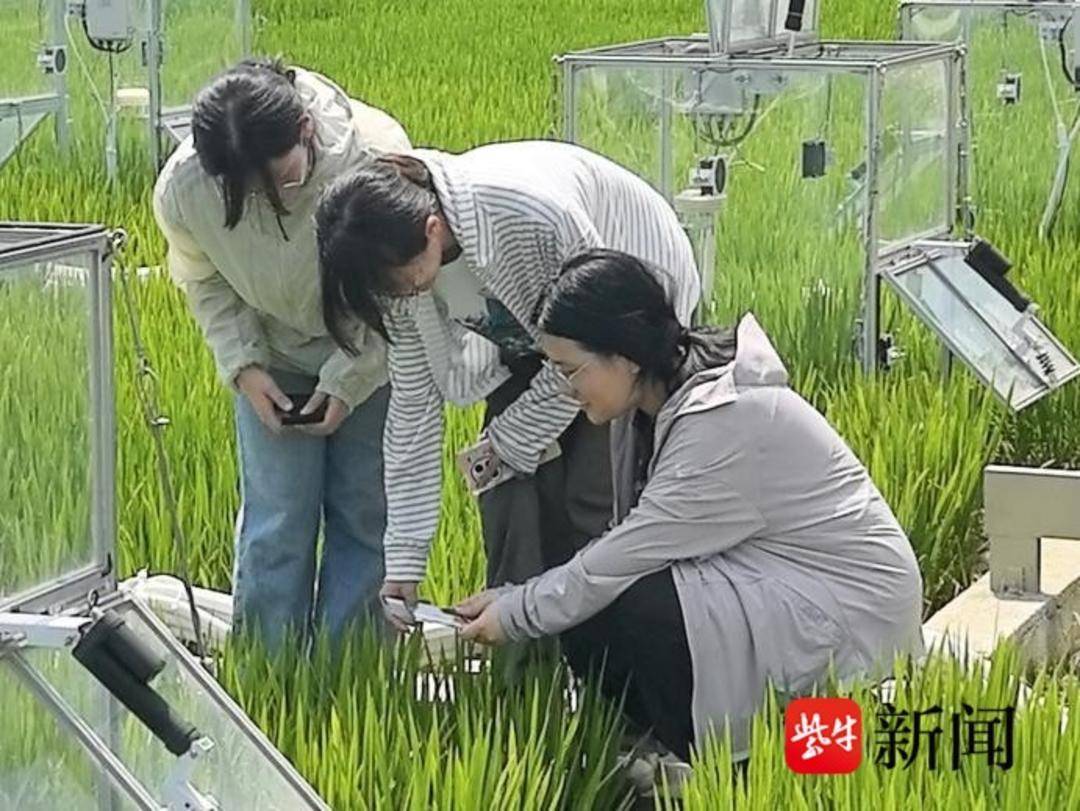 圖｜大學學子探索智慧施肥新路徑