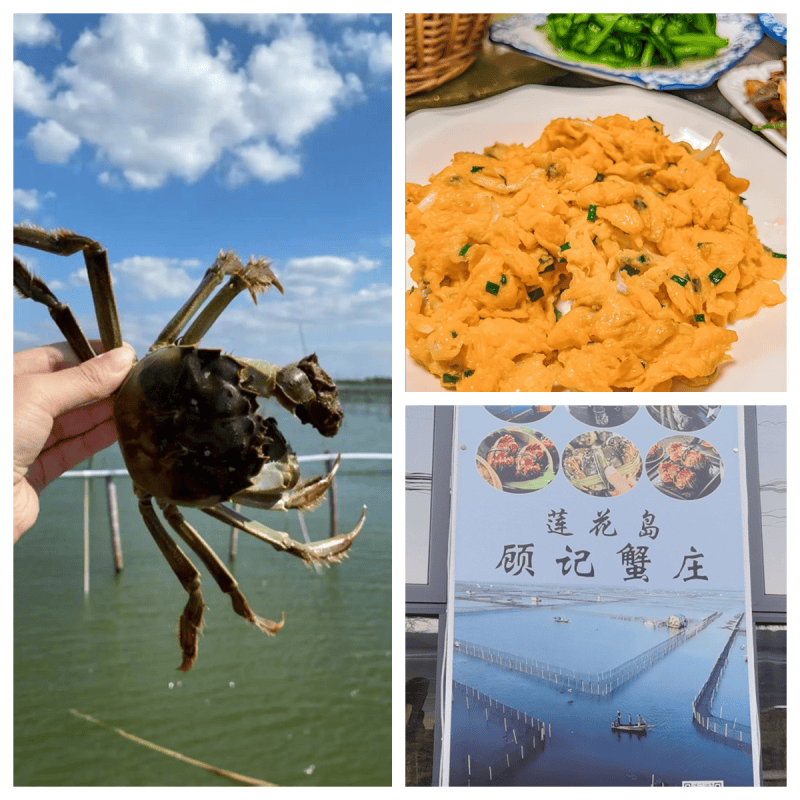 在陽澄湖哪裡能買到正宗大閘蟹，這篇陽澄湖買蟹經驗請收藏