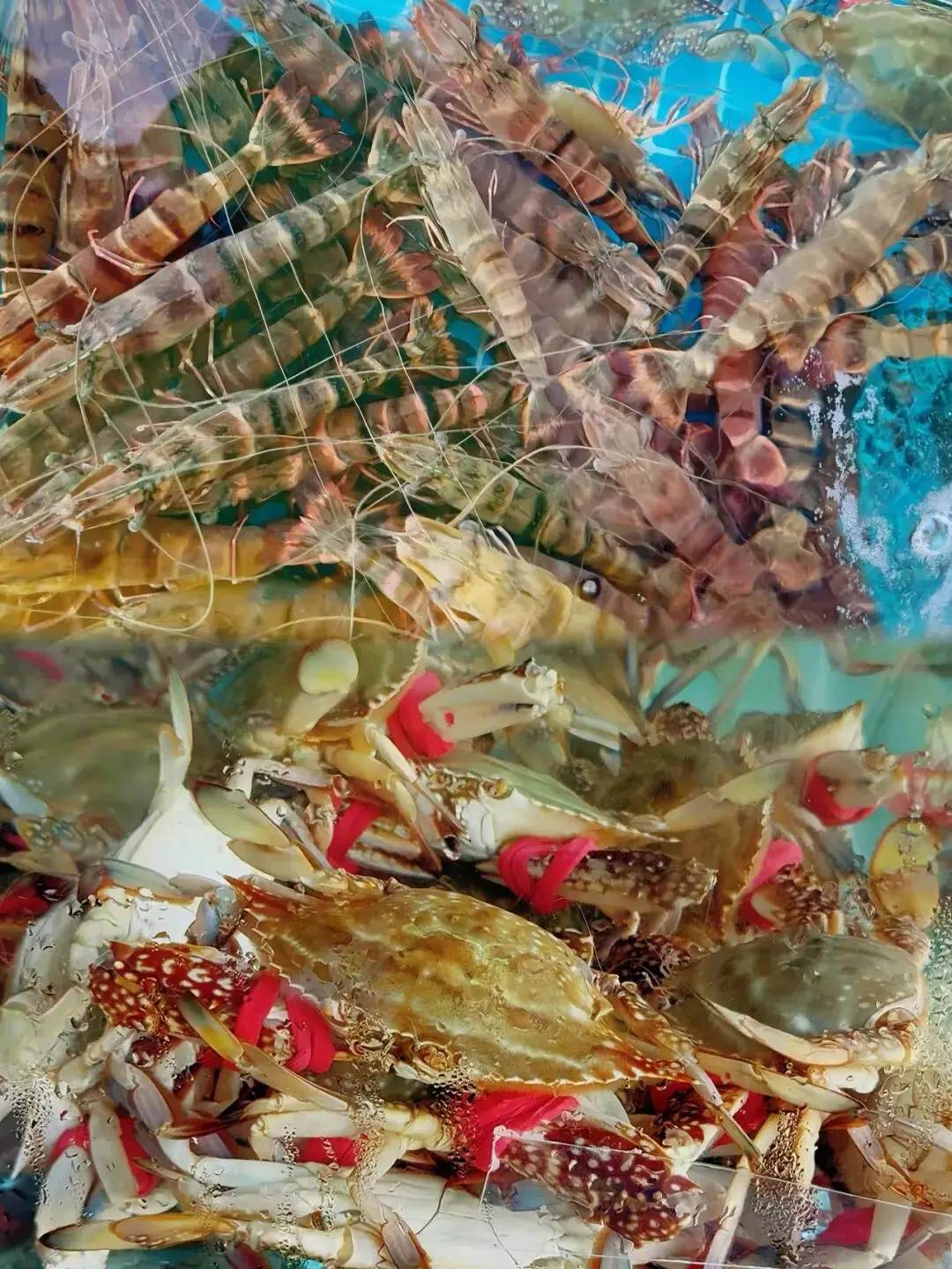 搶海鮮券！廣利漁港金秋開海美食節9月5日鮮美相約