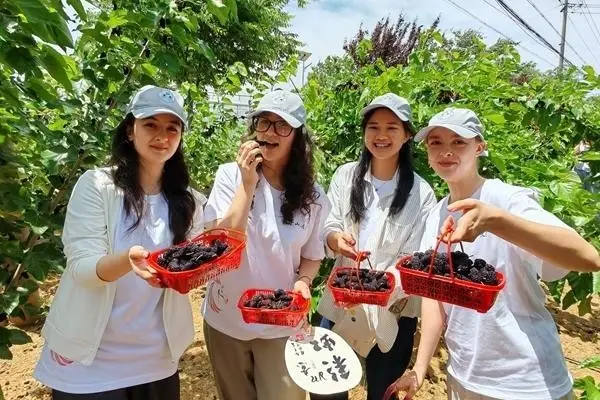 “三下鄉”不止在暑期——超九成受訪大學生期待“三下鄉”變“常在鄉”