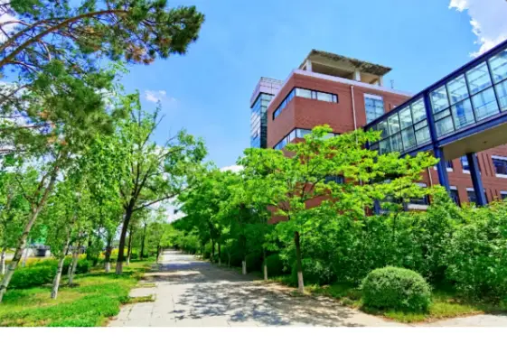 吉林財經大學好不好？推免、考研、讀博通路齊全，三環相扣教學體系如何夯實實務能力