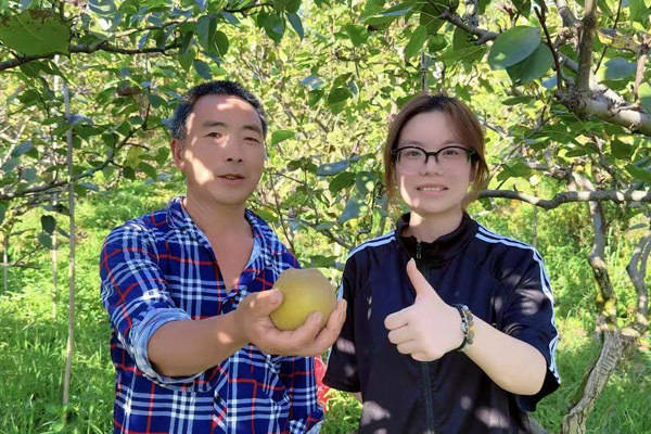 大學生繪製“數字地圖”助力巴南白象山產業升級