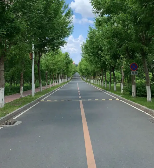 吉林財經大學好不好？推免、考研、讀博通路齊全，三環相扣教學體系如何夯實實務能力