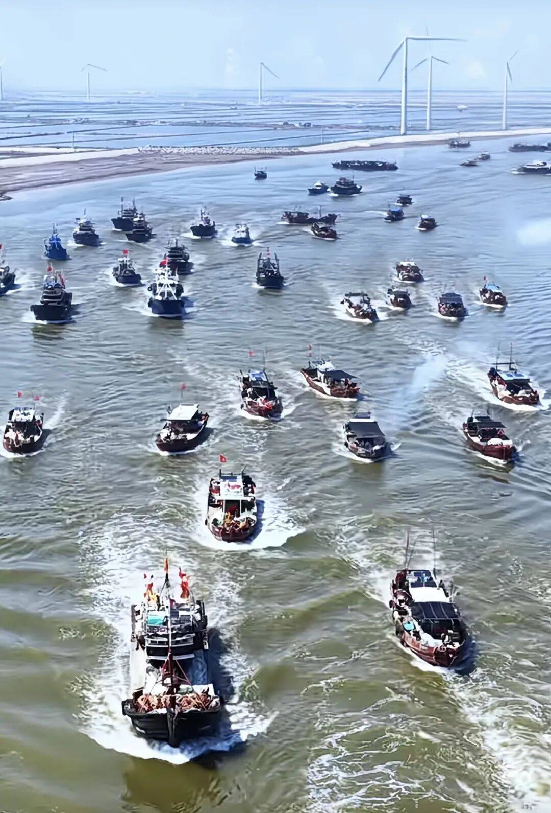 搶海鮮券！廣利漁港金秋開海美食節9月5日鮮美相約