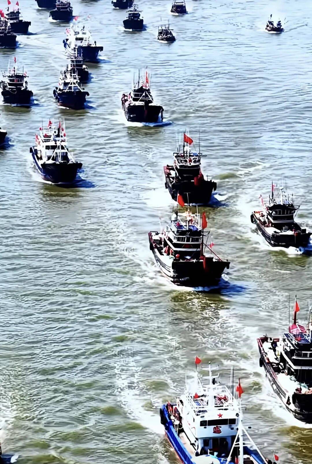 搶海鮮券！廣利漁港金秋開海美食節9月5日鮮美相約