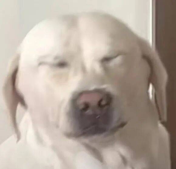 私拆領導快遞，看見了他的出軌照片和一封信……