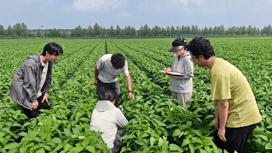 本科生把論文寫在黑土地上！東北林業大學攜手北大荒共建“沃土π創新工場”