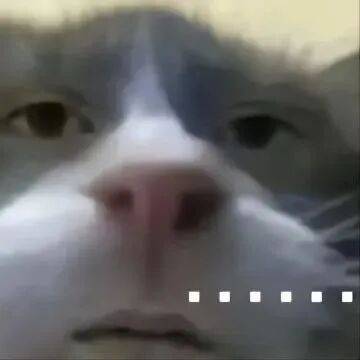 私拆領導快遞，看見了他的出軌照片和一封信……