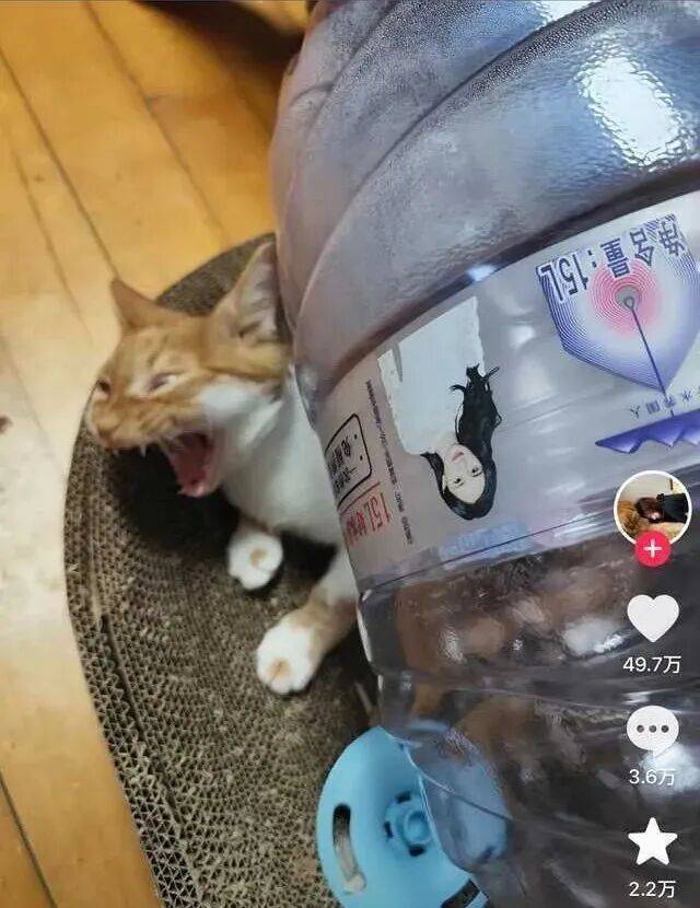 私拆領導快遞，看見了他的出軌照片和一封信……