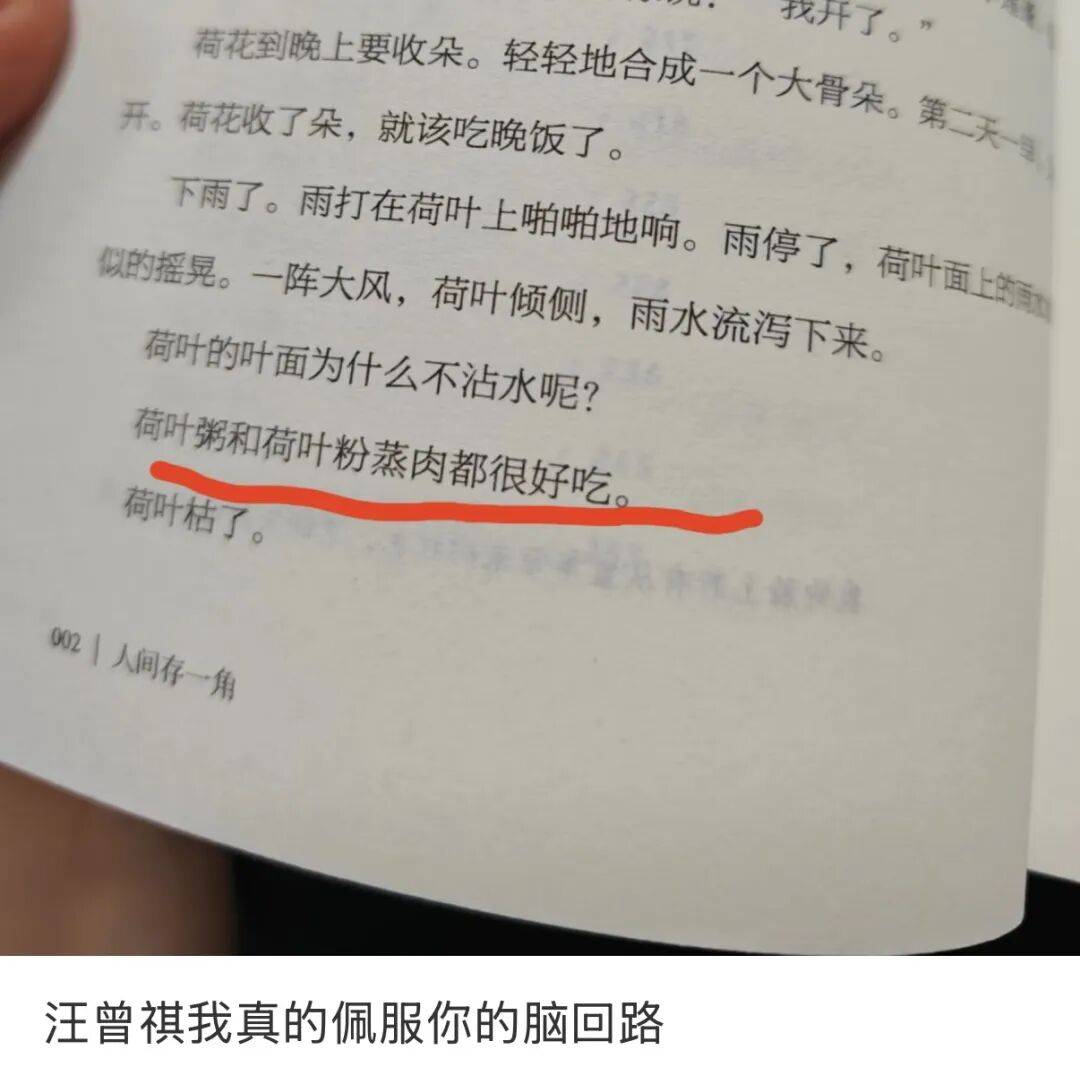 “汪曾祺菜譜”塌房，這屆網友不買單了？