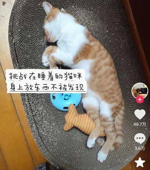 私拆領導快遞，看見了他的出軌照片和一封信……