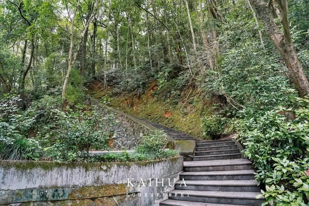 浙南寶藏小城開化的美無需濾鏡！錢江源的環境文化美食我全都要！