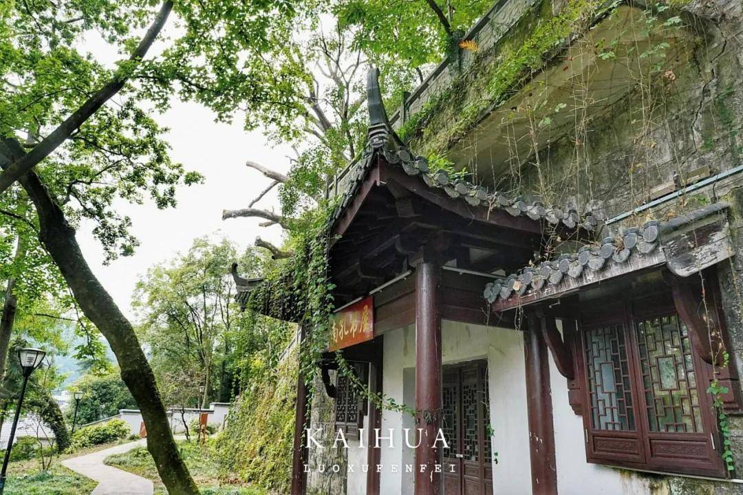 浙南寶藏小城開化的美無需濾鏡！錢江源的環境文化美食我全都要！